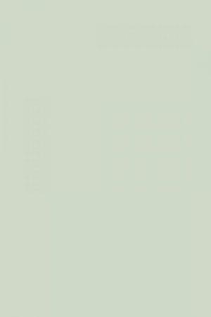 FARROW AND BALL PALE POWDER NO. 204 PAINT
